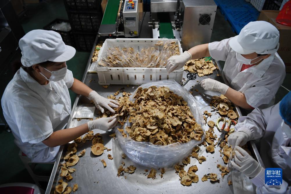 澳门娱乐美高梅平台